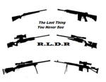R.L.D.R (Robloxian Long Distance Recon)