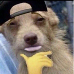 bsf bsf