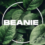 Beanie Products