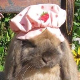 ꒰⚘݄꒱