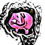 #### Patrol +_-=-_+NO NOOBS ALLOWED+_-=-_+