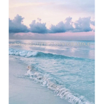 ~•Tails Aesthetic Clothing Boutique•~
