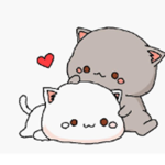Cat lov3s group