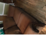 Baldi rp