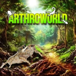 Arthroworld Legacy icon