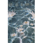 ɞ aesthetic ɞ