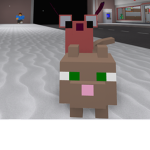 RaTs AnD cATs ;-;-;-';-;-;-;-;-;-;--;-;-;-;-;-;;--