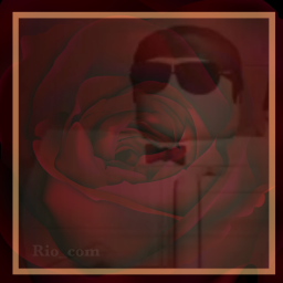 R I O | "The Holy Grave"