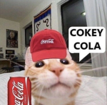 Kaylie’s cat clan