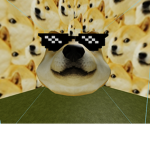 Doge Club Hang Out