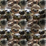 Slothgroup100