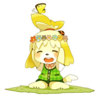 ~Animal Crossing~ Tips Tricks and More!