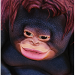 Cᴏᴏᴋɪᴇ Cʟᴜʙ