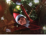 Christmas Charms
