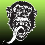 Gas  Monkey  Garage