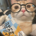 CH ゆ