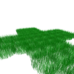 Grass NoFilter