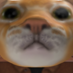 Catlike