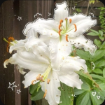 ~Dancing In The Rain~