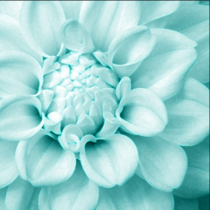Pastel Teal Flower Roblox decal