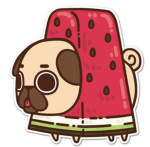 Your happy Pug that can fly