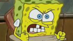 KING SPONGE 1