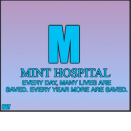 [VERSION RELEASE] Mint Hospital