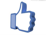 the awsome facebook