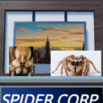 Spider Entertainment Corp.