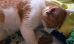 We hunger