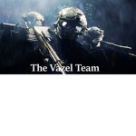 The vazel team