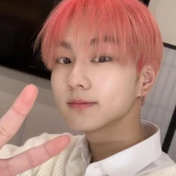 ˚୨୧⋆｡˚ ⋆ icon