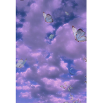 <3 Blissful Butterflies