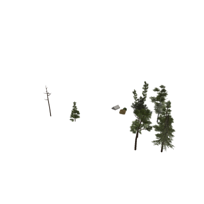 Forest Models