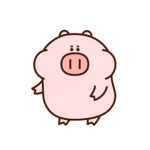 Piggo147 squad