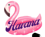 HAVANA VIBE