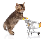 super cool kitty funds group