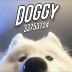 /doggysw