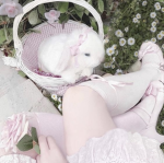ilusori