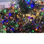 Merry Christmas and a happy new year have a happy