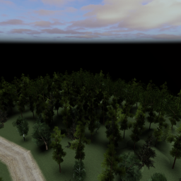 Russian Forest
