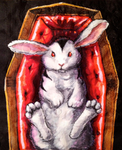 Bunnicula :3