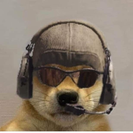 Gruppo doge