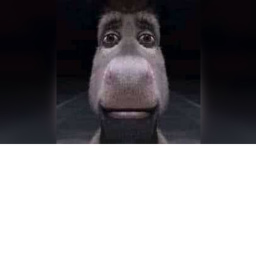Shrek chase
