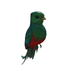 Quetzal Shoulder Pet