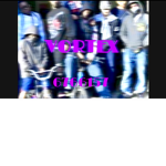 Vortex official