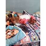 DOGS FOR LIFE (:
