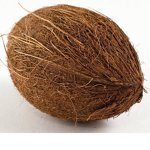 Coconut Corporation