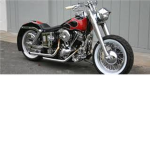 The Bad Flame Riders