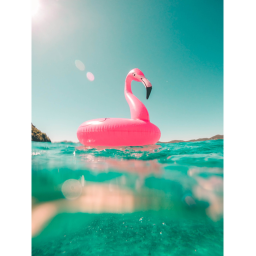 Summer con! <3
